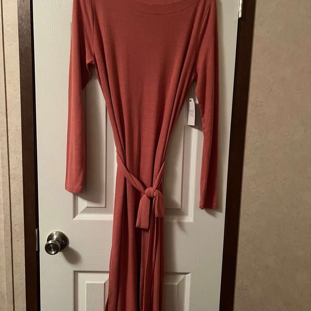 Time and Tru Terracotta Long Sleeve Dress